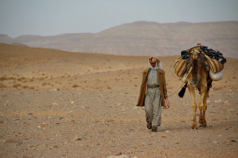 The Camel & The Bedouin – Stichting Dalèl