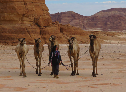 camelwoman Joyce Schröder en her Camels