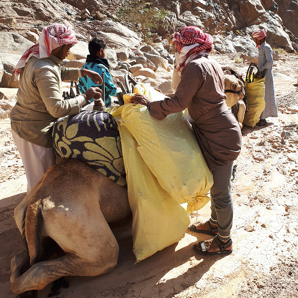 Desert Clean Ups for Food