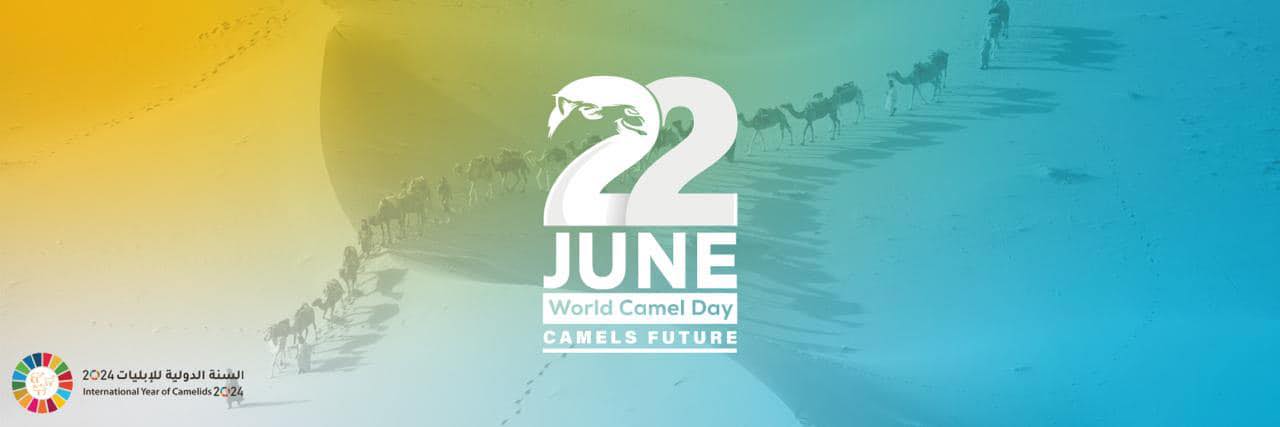 2024 the international year of camelids -Dalel Foundation.org